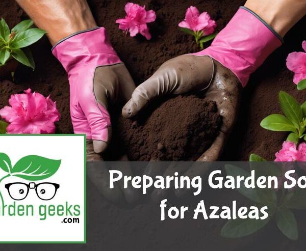 Preparing Garden Soil for Azaleas