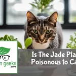 is the jade plant poisonous to cats
