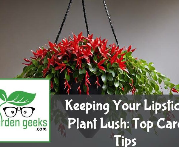 Keeping Your Lipstick Plant Lush: Top Care Tips
