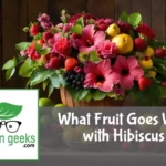 what fruit goes well with hibiscus