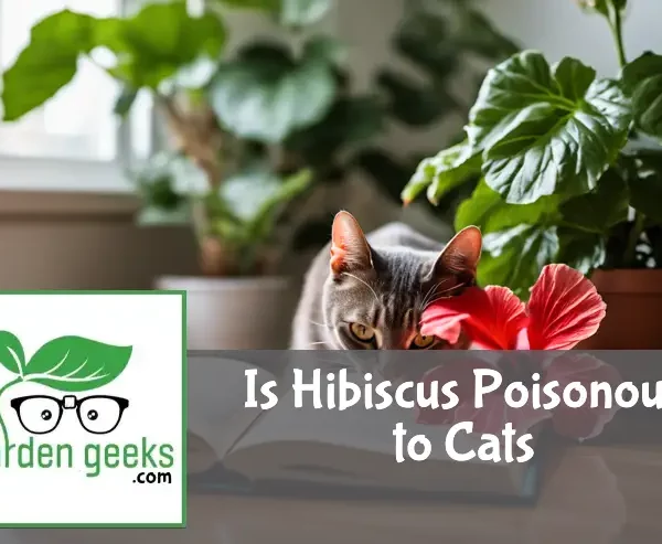A curious cat sniffs a vibrant hibiscus in a peaceful, well-lit room with an open houseplant guide in the background.