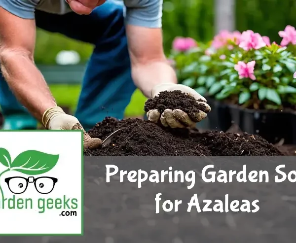 Gardener amending soil with organic matter for azaleas, focusing on rich, dark soil and blurred azalea plants in the background.