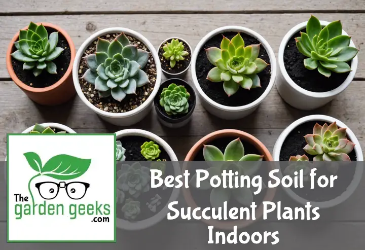 "Various succulent plants in different pots with diverse soil types, a trowel, and a bag of perlite."