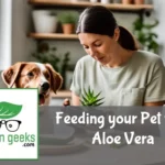 Pet owner reads a guide on feeding pets aloe vera, with their dog beside them and a prepared aloe vera meal on the table.