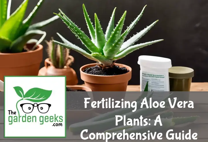 Fertilizing Aloe Vera Plants: A Comprehensive Guide