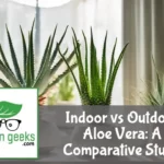 Two scenes: an aloe vera thrives indoors near a window and another grows outdoors, both showing health and environmental effects.