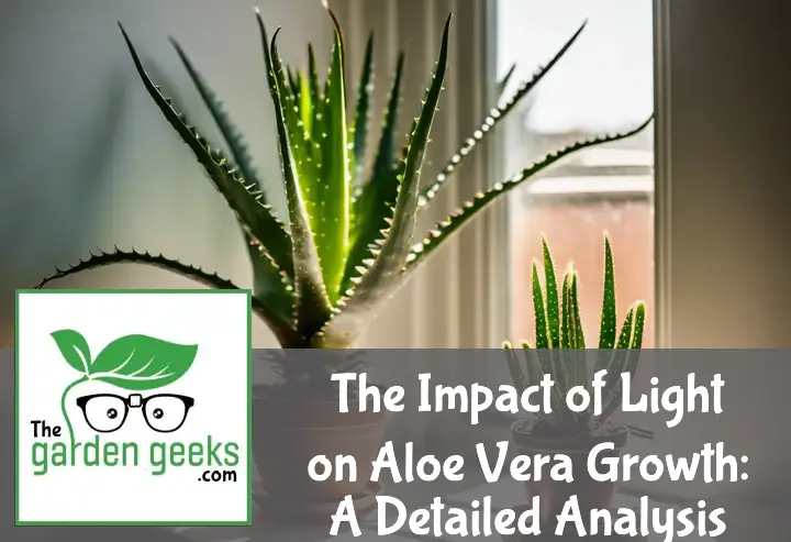 The Impact of Light on Aloe Vera Growth: A Detailed Analysis