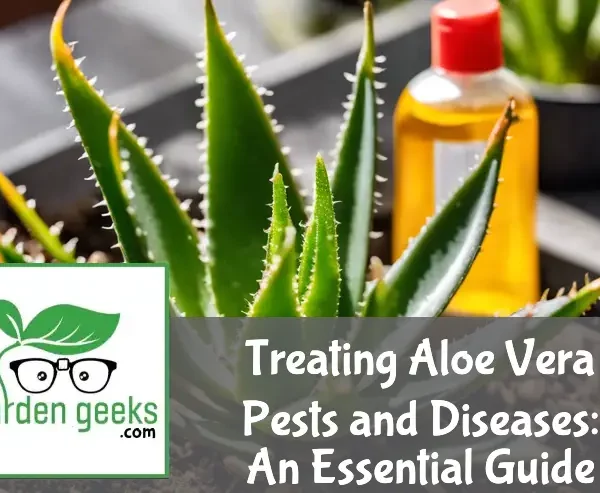 Aloe vera plant with pest damage, alongside neem oil and a spray bottle for natural treatment.