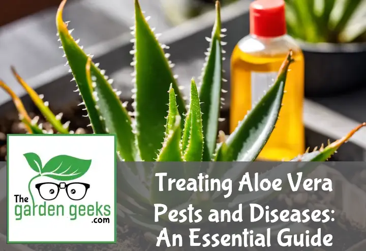 Treating Aloe Vera Pests and Diseases: An Essential Guide